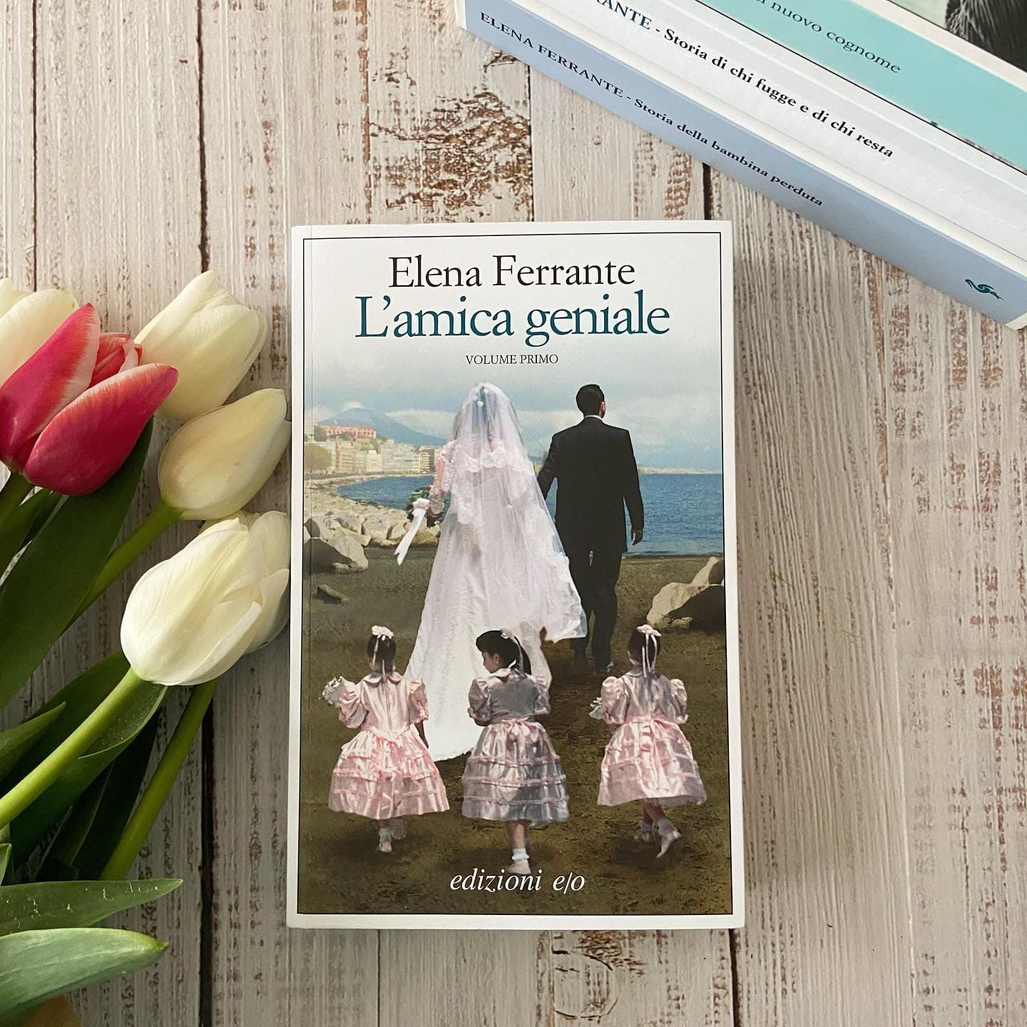 L'amica geniale Elena Ferrante